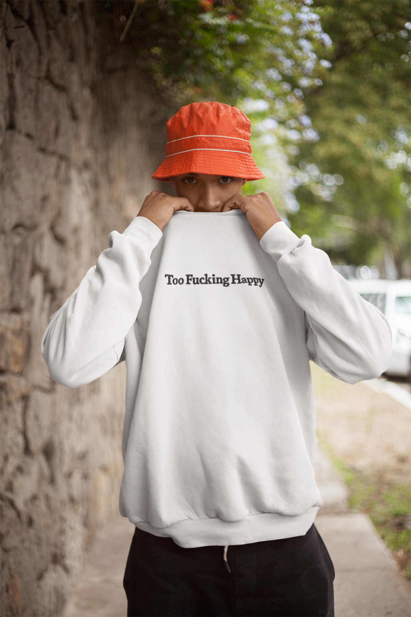 Urban Sweatshirts Men