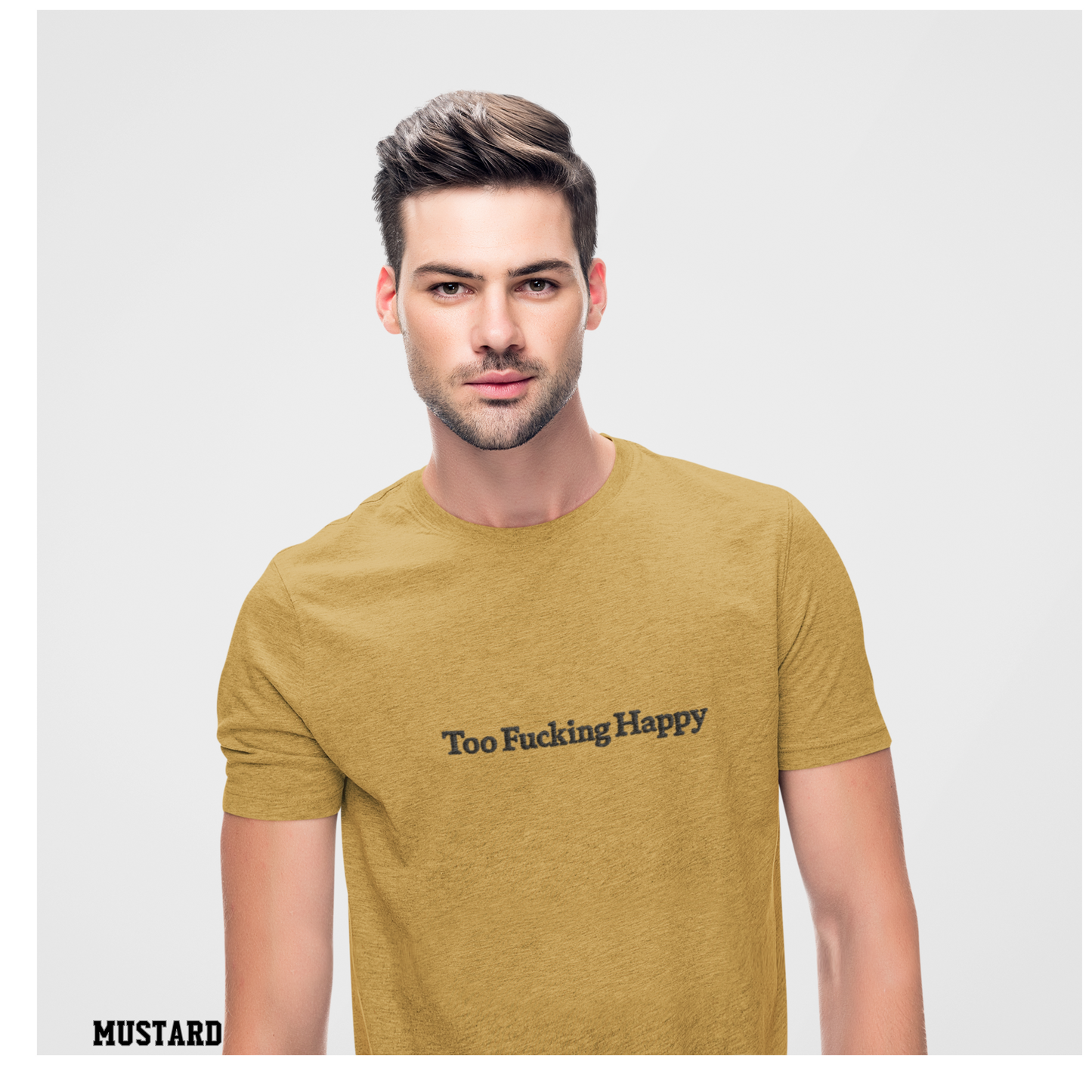 Classic Shirts Men